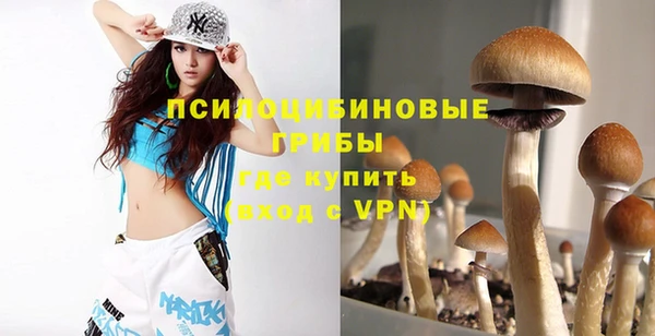 шишки Абаза