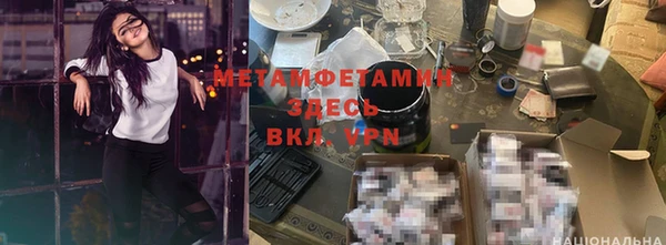 шишки Абаза