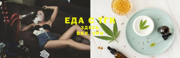 шишки Абаза