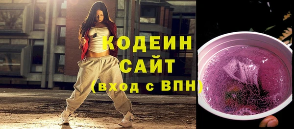 шишки Абаза