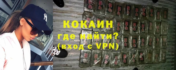 шишки Абаза