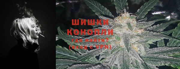 шишки Абаза