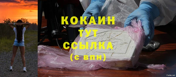 шишки Абаза