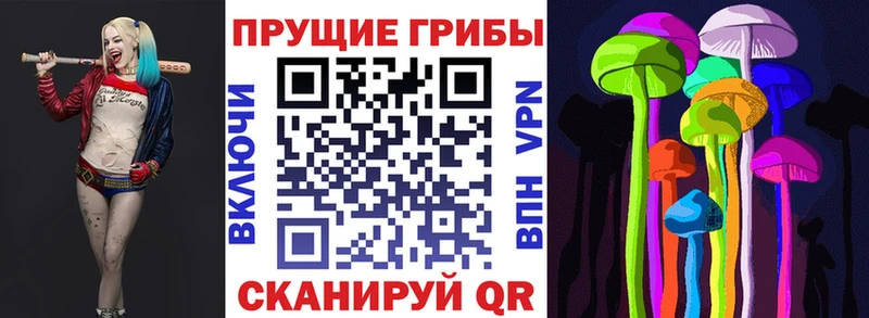 Галлюциногенные грибы Magic Shrooms  купить наркотики цена  Псков 